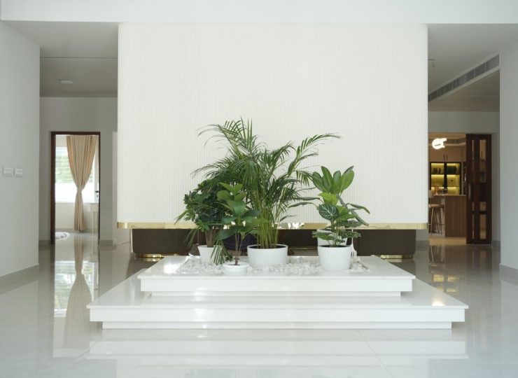 WhatsApp Image 2025-10-30 at 4.17.31 PM